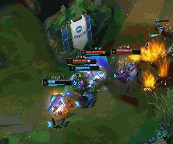 联盟如何确 联盟如何确