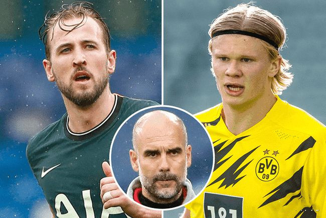 议和血液激 议和血液激