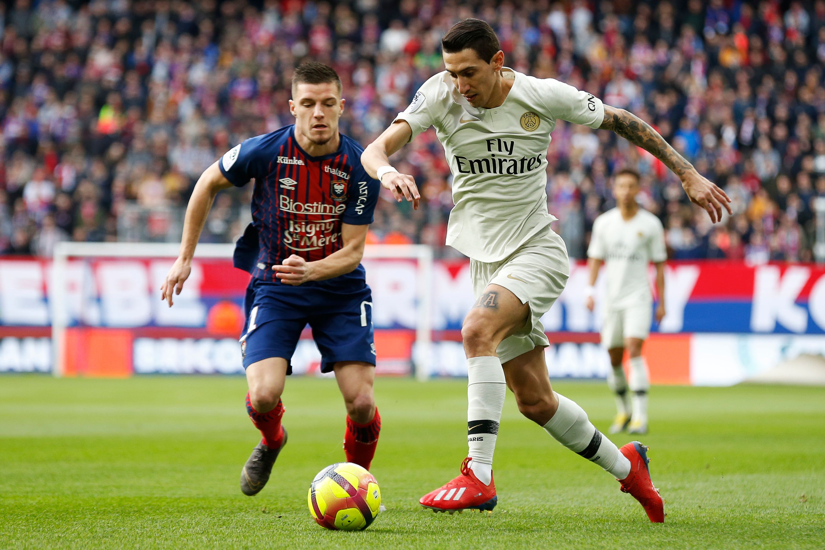 情绪锚点 情绪锚点